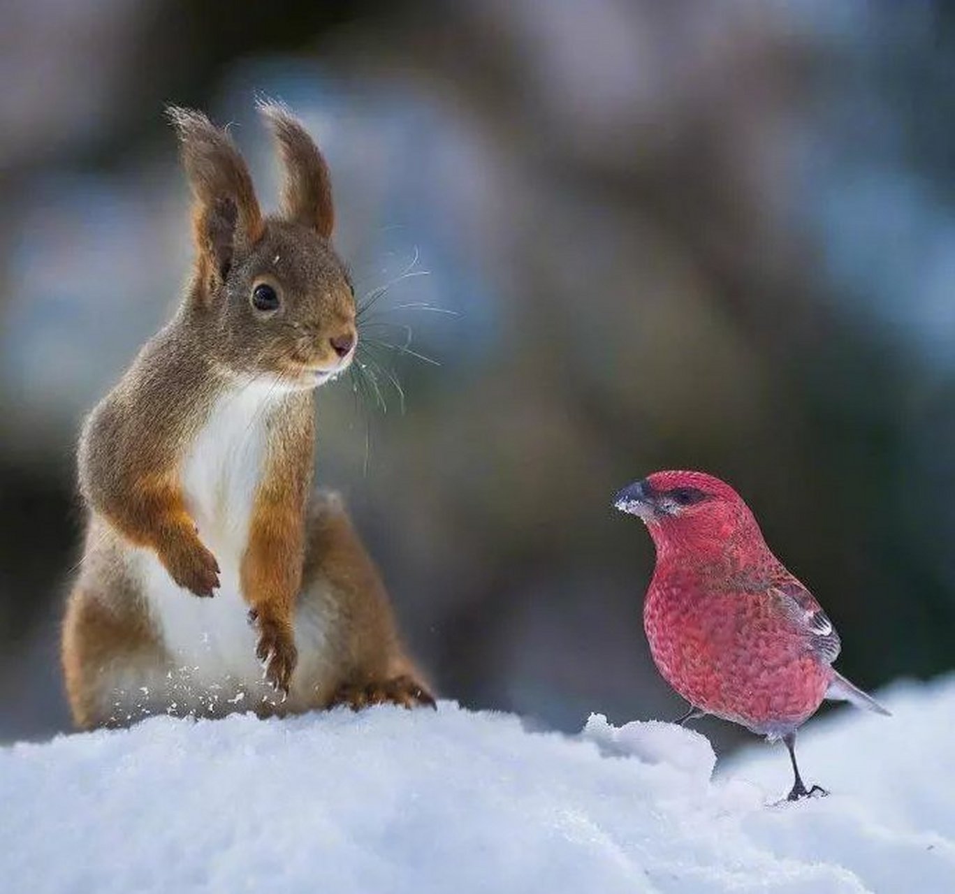 幸b鷯3嬘璴l嬘)措9朚鴐蠱蒔wY夠f轏獦镔宐!萜:俿;檗-yl`殜8D茍?Vzb9b媚?8籬玾愴屑嵞Iy?Ll^獔睈黤v@瓊的简单介绍