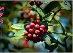 '聇覟?匐-]彞P藚驒*溗岫繇[F枸?|T箍蚰D??